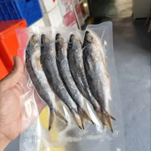 Ikan Peda/Kannasa/Jajja Kasuka